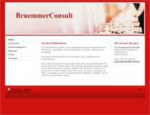 Tablet Screenshot of bruemmerconsult.com